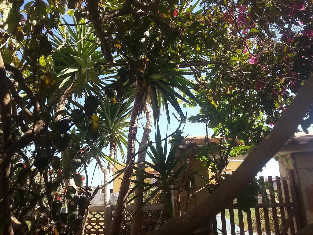 Il Sole Di Lampedusa Italy